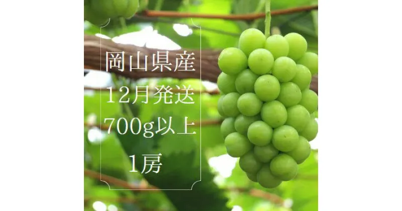 【ふるさと納税】岡山県産 冷蔵シャインマスカット 700g以上 (1房)_【12月中旬発送】_A14