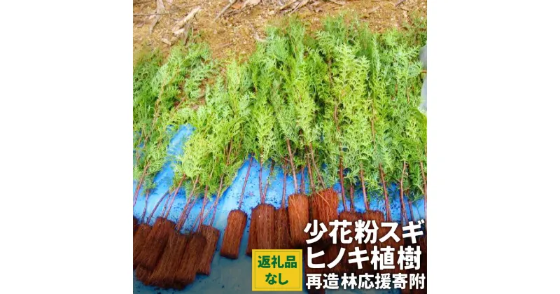 【ふるさと納税】【返礼品なし】岡山県奈義町で行う『少花粉スギ・ヒノキ』植樹を応援してくださる皆さまからの温かいご支援をよろしくお願いいたします。 寄附のみ 寄附 応援 岡山県 奈義町 送料無料